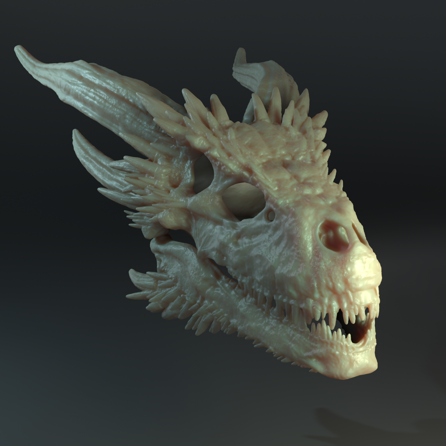 Drogon skull 3d model